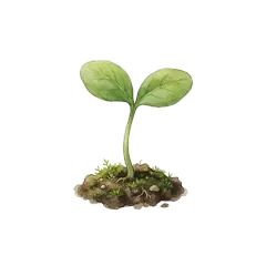 Websprout